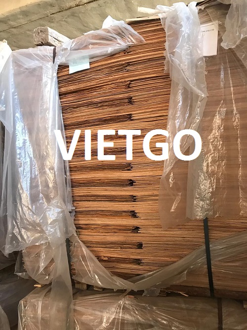 Ván bóc gỗ bạch dương Vietgo